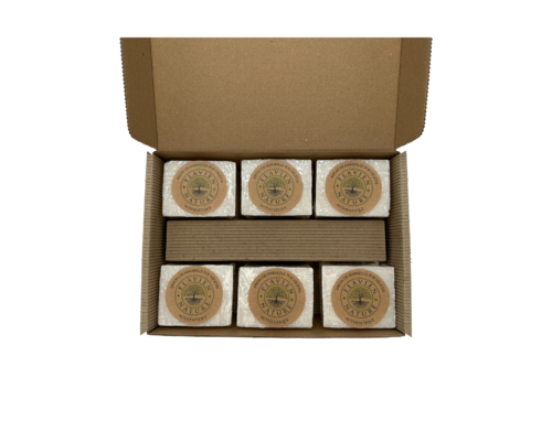 F19A - Lot 6 Savon naturelle 300g