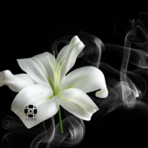 Ambiance parfumée